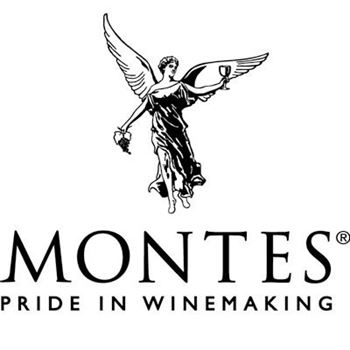 Montes Twins red blend 2 Montes Twins red blend - Afbeelding 2