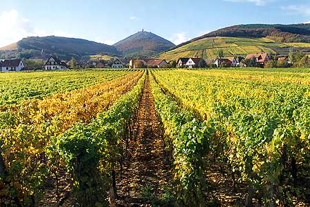 Domaine Fernand Engel