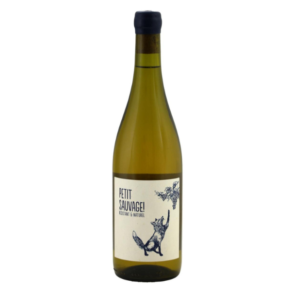 Home 24 Pierre et Antonin Souvignier Gris – biologische natuurwijn uit de Languedoc Deze biologische blanc uit de Languedoc is wild, spannend en allesbehalve standaard. Gemaakt van de hybride druif Souvignier Gris en volledig naturel, zonder toegevoegde sulfieten. Fris, energiek en uitgesproken met peer, kweepeer en een strakke zuurgraad. Dit is zo’n wijn die je alert houdt — exciting van begin tot eind. Beknopte beschrijving van het wijnhuis Pierre et Antonin is het wijnproject van Pierre Caizergues en Antonin Bonnet, beiden afkomstig uit wijnbouwfamilies uit de Languedoc. Hun ontmoeting op 4 juli 2010 in een wijnbar in New York vormde het begin van een gedeelde droom. In 2022 bliezen zij een familiebezit nieuw leven in, gelegen in de uitlopers van de Pyreneeën, ten westen van Carcassonne. Hier plantten zij hun eerste 6 hectare biologisch gecertificeerde wijngaarden aan, met een radicale focus op duurzaamheid, natuur en minimale impact. Alles draait om puurheid, verantwoordelijkheid en toekomstbestendige wijnbouw. Wijngaard & regio De wijngaarden liggen op een magische plek in de Languedoc, nabij Carcassonne. De gekozen druif Souvignier Gris is een hybride ras dat van nature resistent is tegen meeldauw, waardoor bespuiting overbodig is. Dit maakt de wijnbouw niet alleen biologisch, maar ook uitzonderlijk duurzaam met minimaal waterverbruik en een nul-koolstofvoetafdruk als ambitie. Vinificatie De wijn wordt volledig natuurlijk gevinifieerd, zonder toevoegingen en zonder sulfiet. Er is geen technische inmenging: wat de druif en de wijngaard geven, is wat je in het glas krijgt. Zuiver, eerlijk en compromisloos. Proefnotitie Kleur: Lichtgeel Geur: Rijpe appel, peer en kweepeer met een subtiele hint van hibiscus Smaak: Mondvullend en fris met tonen van walnoot en rijpe appel, strakke zuren en een lichte eucalyptus-toets in de afdronk Spannend, puur en levendig. Spijs & serveren Serveertemperatuur: 8–10 °C Lekker bij: Gegrilde zeebaars, kabeljauw uit de oven, gebakken garnalen met citroen en venkel Deze Pierre et Antonin Souvignier Gris is een compromisloze natuurwijn voor liefhebbers van spanning, duurzaamheid en karakter. Bio, naturel en toekomstgericht — precies zoals wijn anno nu bedoeld is.