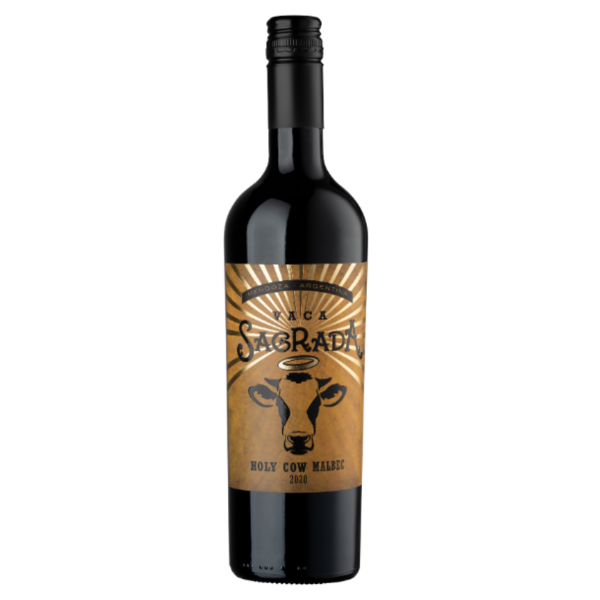 Falasco Vaca Sagrada &ldquo;Holy Cow&rdquo; Malbec &ndash; Argentini&euml; Krachtige en elegante Malbec uit Mendoza met intense aroma&rsquo;s van rijp zwart fruit, kruiden en zachte houttonen. De Falasco Vaca Sagrada Holy Cow Malbec is een indrukwekkende Argentijnse rode wijn die de ware expressie van de Malbec-druif laat zien. Deze wijn combineert kracht, concentratie en finesse in &eacute;&eacute;n glas. Je proeft verleidelijke aroma&rsquo;s van rijpe bramen, zwarte kersen en pruimen, subtiel aangevuld met tonen van vanille, cacao en specerijen dankzij houtrijping. In de mond is deze Malbec vol en rond, met zachte tannines en een lange, warme afdronk. De wijn is perfect in balans en biedt zowel diepgang als toegankelijkheid. Ideaal bij gegrild rood vlees, Argentijnse steak, stoofgerechten en gerijpte harde kazen. De Falasco Vaca Sagrada &ldquo;Holy Cow&rdquo; Malbec (Heilige Koe) verwijst naar de iconische Argentijnse rundercultuur en maakt deze wijn tot een perfecte begeleider van een mooie steak of barbecue. Smaakprofiel Falasco Vaca Sagrada &ldquo;Holy Cow&rdquo; Malbec Druif: Malbec Smaak: Vol, krachtig en fruitig Aroma&rsquo;s: Zwarte kers, braam, pruim, vanille, cacao Tannines: Zacht en rond Afdronk: Lang en kruidig Producent: Bodegas Falasco Bodegas Falasco is een gerenommeerde Argentijnse familiewijngaard met een lange wijntraditie. De familie Falasco combineert moderne vinificatietechnieken met respect voor terroir en traditie. Hun wijnen worden wereldwijd gewaardeerd om kwaliteit, karakter en uitstekende prijs-kwaliteitverhouding. Regio: Mendoza Mendoza is d&eacute; wijnregio van Argentini&euml; en wereldwijd beroemd om zijn Malbec-wijnen. Dankzij de hoge ligging aan de voet van het Andesgebergte, veel zonuren en koele nachten ontwikkelen de druiven hier intense aroma&rsquo;s en een perfecte balans tussen rijp fruit en frisse zuren. Land: Argentini&euml; Argentini&euml; is internationaal toonaangevend op het gebied van Malbec en staat bekend om krachtige, fruitrijke rode wijnen met structuur en elegantie.