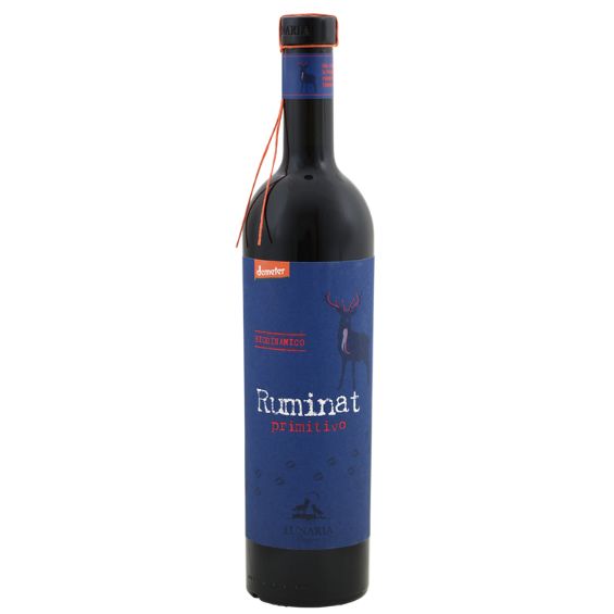 Lunaria Ruminat Primitivo 1 Lunaria Ruminat Primitivo – Biodynamische Primitivo uit Abruzzo Biologische en biodynamische Primitivo met rijp zwart fruit, zachte kruidigheid en een fluweelzachte afdronk. De Lunaria Ruminat Primitivo is een karaktervolle rode wijn uit Abruzzo, gemaakt van 100% Primitivo. Deze biodynamische wijn combineert de warme, rijke stijl van Zuid-Italië met frisheid, elegantie en puur fruit. Dankzij de biodynamische werkwijze en het Demeter-keurmerk ontstaat een wijn die de natuur en het terroir optimaal weerspiegelt. Met zijn volle smaak, rijpe zwarte fruittonen en verfijnde kruidigheid is deze Primitivo een uitstekende keuze voor liefhebbers van zachte, toegankelijke rode wijnen met karakter. Smaakprofiel Druif: 100% Primitivo Kleur Diep robijnrood met paarse nuances. Neus Intense aroma's van rijpe bramen, zwarte kersen en bosbessen, aangevuld met tonen van laurier, vanille en een vleugje melkchocolade. Mond Vol, zacht en rond met veel rijp donker fruit. De wijn heeft een mooie balans tussen een subtiele natuurlijke zoetindruk en frisse zuren, waardoor hij rijk én elegant blijft. Afdronk Lang, fruitig en harmonieus met frisse kersen en een lichte kruidigheid. Proefnotitie Een expressieve Primitivo met volop zwart fruit, donkere kersen en zachte kruiden. Tonen van laurier, vanille en melkchocolade geven extra diepgang, terwijl de frisse zuren zorgen voor een levendige balans. Dit is de Lunaria Ruminat Primitivo. Over het wijnhuis Cantina Orsogna – Lunaria behoort tot de absolute pioniers op het gebied van biologische en biodynamische wijnbouw in Italië. Het wijnhuis is gevestigd in Abruzzo, tussen de Adriatische Zee en het Majella Nationaal Park. Hier werken de aangesloten wijnboeren volledig in harmonie met de natuur. De Lunaria-serie wordt geproduceerd volgens de strenge richtlijnen van Demeter, het internationaal erkende keurmerk voor biodynamische landbouw. Daarbij wordt geen gebruikgemaakt van chemische bestrijdingsmiddelen of kunstmest en staat biodiversiteit centraal. Bovendien zijn de wijnen volledig vegan, waardoor ze geschikt zijn voor iedereen die bewust wil genieten. Wijngaard & Vinificatie De Primitivo-druiven worden met zorg geselecteerd uit biologisch en biodynamisch beheerde wijngaarden. Na de oogst volgt een temperatuurgecontroleerde vergisting om de fruitexpressie optimaal te behouden. De wijn rijpt vervolgens zodat fruit, structuur en kruidigheid mooi met elkaar versmelten. Het resultaat is een zuivere, elegante Primitivo waarin het druivenras en het terroir volledig tot hun recht komen. Wijn & Spijs De Lunaria Ruminat Primitivo is een veelzijdige gastronomische wijn en combineert uitstekend met: Pasta met tomatensaus Vegan pasta Bolognese Pizza Gegrilde groenten Barbecuegerechten Gegrild rood vlees Rijpe kazen Serveer op 16–18°C. Waarom kiezen voor Lunaria Ruminat Primitivo? ✓ 100% Primitivo uit Abruzzo ✓ Biologisch én biodynamisch (Demeter-gecertificeerd) ✓ Volledig vegan ✓ Rijk aan zwart fruit, kruiden en chocolade ✓ Zachte tannines en perfecte balans ✓ Authentieke Italiaanse kwaliteitswijn Regio: Abruzzo Land: Italië