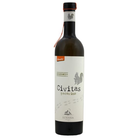 In the picture 12 Lunaria Civitas Pecorino – Biodynamische Pecorino uit Abruzzo Frisse, minerale Italiaanse witte wijn van de bijzondere Pecorino-druif. De Lunaria Civitas Pecorino is een verfijnde biodynamische witte wijn uit Abruzzo. Laat je niet misleiden door de naam: Pecorino is een authentiek Italiaans druivenras en niet de bekende kaas. Deze karaktervolle druif levert frisse, aromatische wijnen met levendige zuren, subtiele kruidigheid en een verfijnde mineraliteit. De Lunaria Civitas Pecorino is een prachtig voorbeeld van de kwaliteit die deze bijzondere druif kan bereiken. Fris, droog en elegant, met een zuivere expressie van het terroir en geproduceerd volgens de biodynamische principes van Demeter. Smaakprofiel Druif: 100% Pecorino Kleur Licht strogeel met heldere groenachtige reflecties. Neus Expressieve aroma's van gedroogde appel, citrus, witte bloemen en een subtiele toets van kruidenlikeur en muntachtige frisheid. Mond Droog, levendig en verfijnd. Smaken van groene appel, citroen en rijp citrusfruit worden ondersteund door een mooie mineraliteit en frisse zuren. Afdronk Lang, zuiver en verkwikkend met een typisch Italiaans licht bittertje dat uitnodigt tot de volgende slok. Proefnotitie Een elegante Pecorino met aroma's van gedroogde appel, citrus en een subtiele kruidigheid. In de mond fris, sappig en mooi droog, met levendige citruszuren en een karakteristiek bittertje in de lange afdronk. Dit is de Lunaria Civitas Pecorino. Over het wijnhuis Cantina Orsogna – Lunaria behoort tot de pioniers van de biologische en biodynamische wijnbouw in Italië. Gelegen tussen de Adriatische Zee en het Majella Nationaal Park werkt het wijnhuis volledig volgens de principes van duurzame landbouw en biodiversiteit. De Lunaria-wijnen dragen het Demeter-keurmerk, de hoogste certificering voor biodynamische wijnbouw. Er wordt gewerkt met respect voor natuur, bodem en druif, zonder kunstmatige bestrijdingsmiddelen of kunstmest. Bovendien zijn de wijnen volledig vegan, waardoor ze geschikt zijn voor een bewuste levensstijl. Wijngaard & Vinificatie De Pecorino-druiven groeien op zorgvuldig beheerde biodynamische wijngaarden in Abruzzo. Na de oogst volgt een temperatuurgecontroleerde vergisting in roestvrijstalen tanks, zonder toevoeging van geselecteerde gisten, zodat de natuurlijke aroma's van de druif volledig behouden blijven. Door deze pure vinificatie ontstaat een wijn die het karakter van de Pecorino-druif en het terroir optimaal tot uitdrukking brengt. Wijn & Spijs De Lunaria Civitas Pecorino is een veelzijdige gastronomische witte wijn en combineert uitstekend met: Gegrilde vis Dorade of zeebaars met citroen en oregano Schaal- en schelpdieren Salades met geitenkaas Risotto met groene kruiden Gegrilde groenten Lichte mediterrane gerechten Serveer gekoeld op 8–10°C. Waarom kiezen voor Lunaria Civitas Pecorino? ✓ 100% Pecorino uit Abruzzo ✓ Biologisch en biodynamisch (Demeter-gecertificeerd) ✓ Volledig vegan ✓ Vergist zonder toegevoegde gisten ✓ Fris, mineraal en elegant met authentiek Italiaans karakter ✓ Perfect bij vis en mediterrane gerechten Regio: Abruzzo Land: Italië
